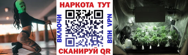 Все наркотики Суджа COCAIN  Меф  Alpha-PVP  Канабис  Амфетамин  Гашиш 