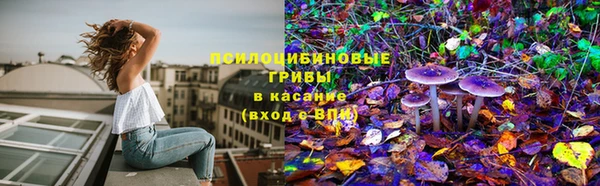 бутират Арсеньев