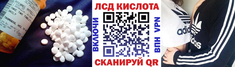 где продают наркотики  Суджа  LSD-25 экстази кислота 